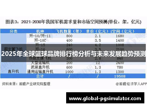 2025年全球篮球品牌排行榜分析与未来发展趋势预测