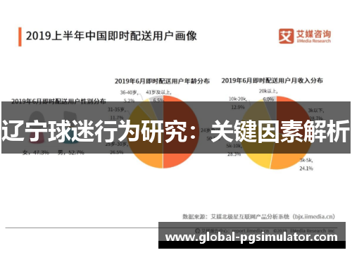 辽宁球迷行为研究：关键因素解析