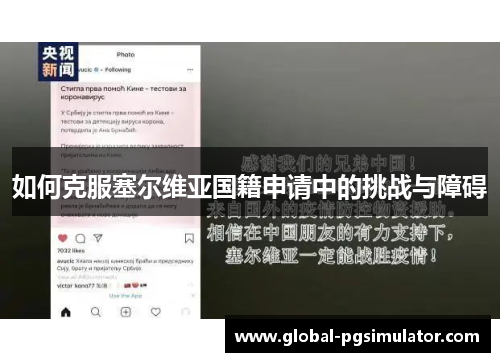 如何克服塞尔维亚国籍申请中的挑战与障碍